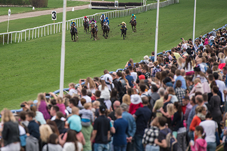 Head to a day at the races