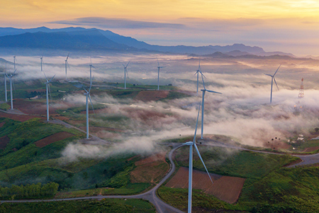 Sustainability as the differentiator