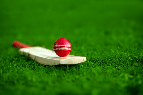Catch the cricket this summer