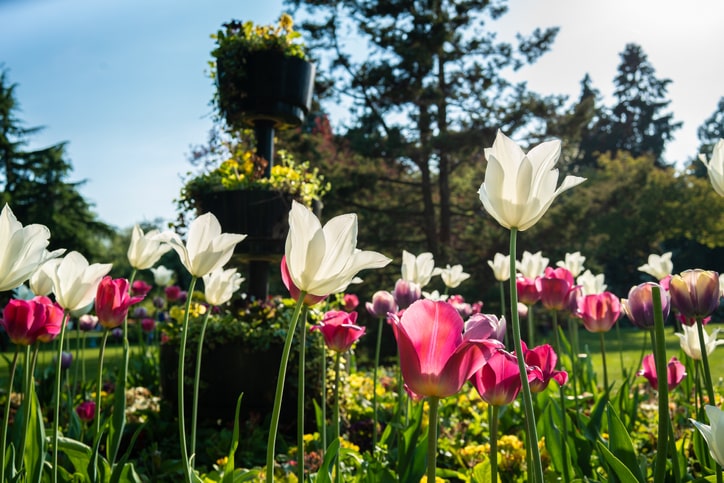 Top parks to visit across the West Midlands