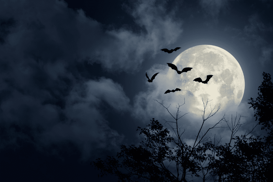 Haunted places to visit by bus