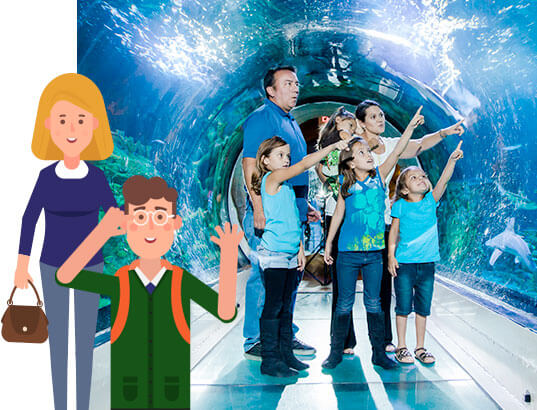 Coach Hire for School Trips