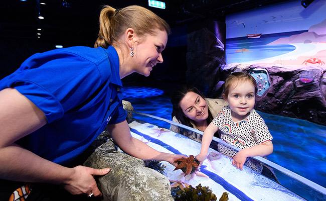 group coach hire to SEALIFE aquarium