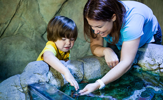 school trips to SEALIFE centres