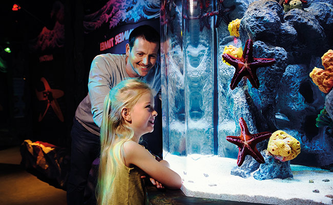 why should you visit a SEALIFE centre
