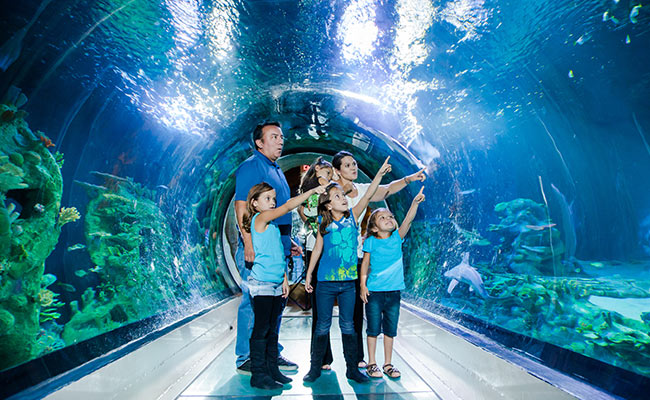 Family at a SEALife Centre