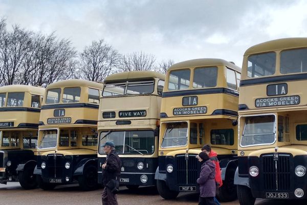 A bus-tastic event not to miss! 