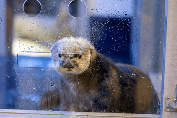 Sealife Centre