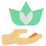 Green travel